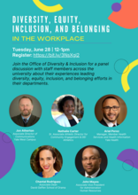 Diversity, Equity, Inclusion, and Belonging In The Workplace Panel Flyer